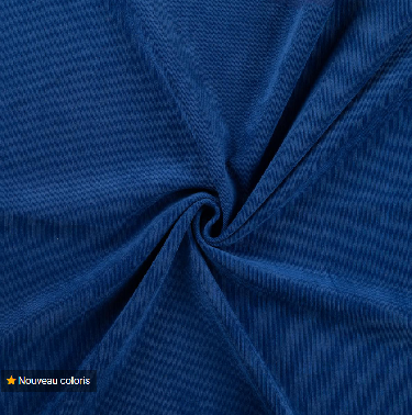 Velours milleraie fine côte bleu roi