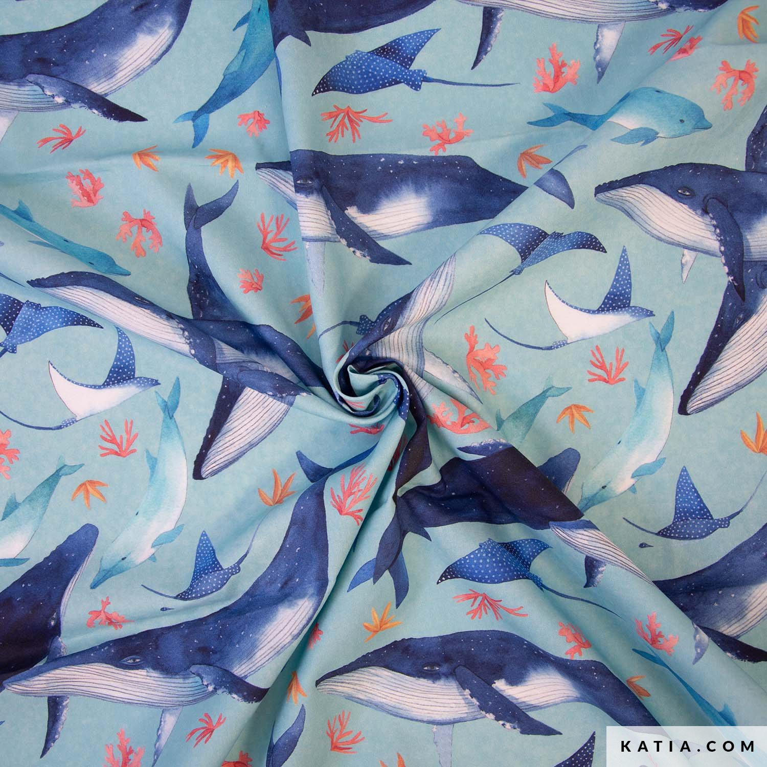 Popeline Baleine – Image 6
